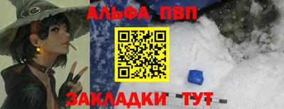 гашик Кингисепп