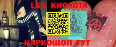гашик Кингисепп