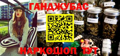 гашик Кингисепп