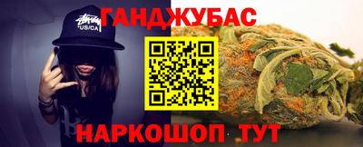 гашик Кингисепп