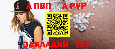гашик Кингисепп