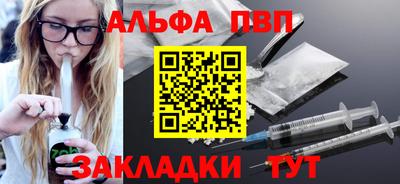 гашик Кингисепп