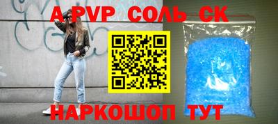 гашик Кингисепп
