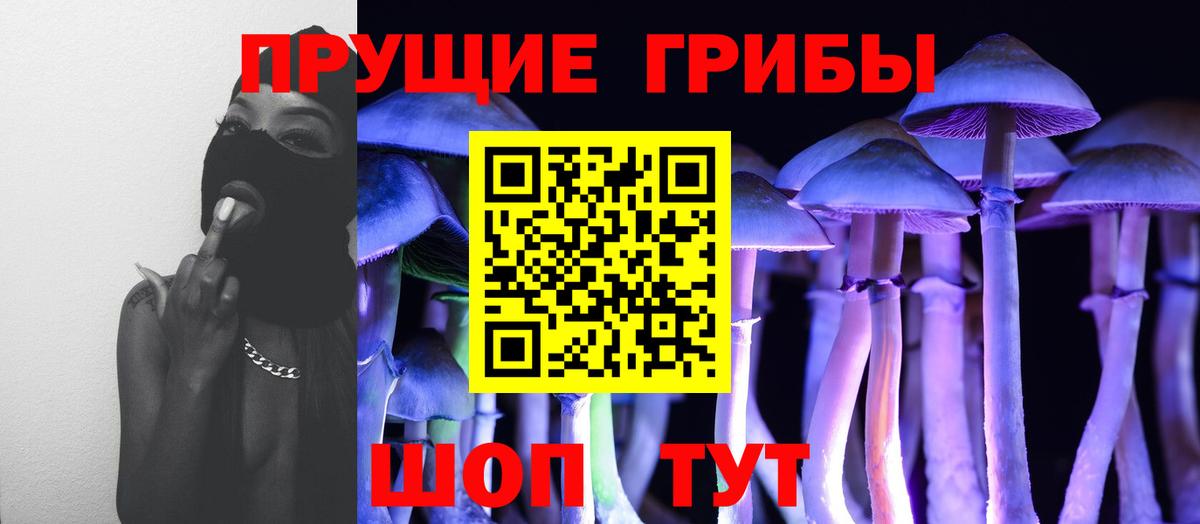 Ивантеевка  Псилоцибиновые грибы Psilocybe  Вход с VPN 